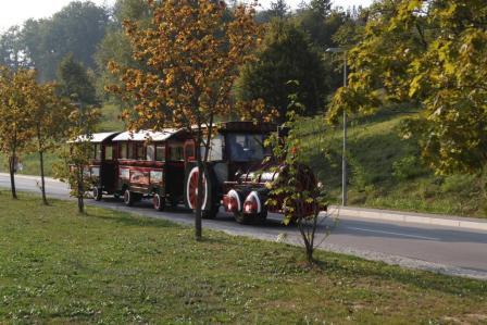 vlak 008
