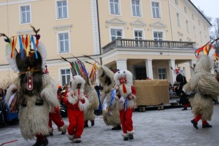 DSC02539(1)