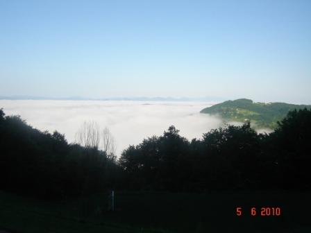 DSC05337