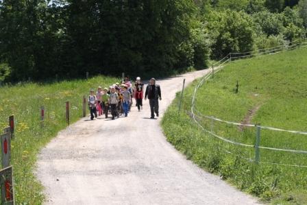 Kočevje 11